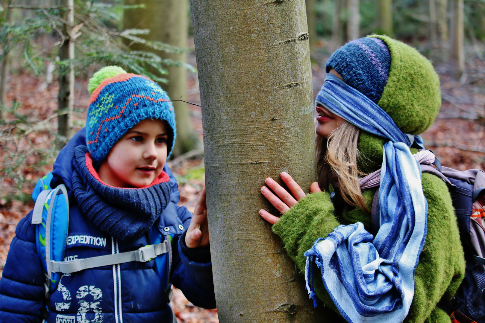 Den WALD mit allen SINNEN erleben...