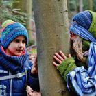 Den WALD mit allen SINNEN erleben...