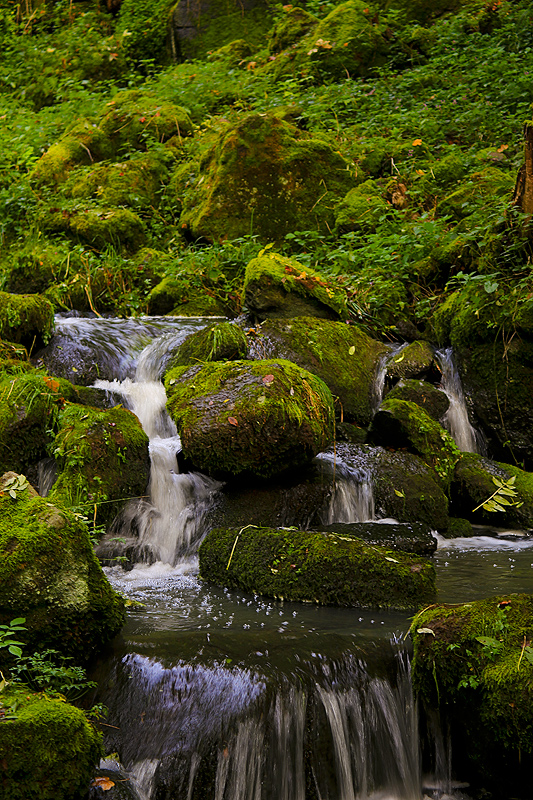 Den Wasserfall bei...II...