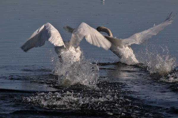 den Wasserweg abschneiden......