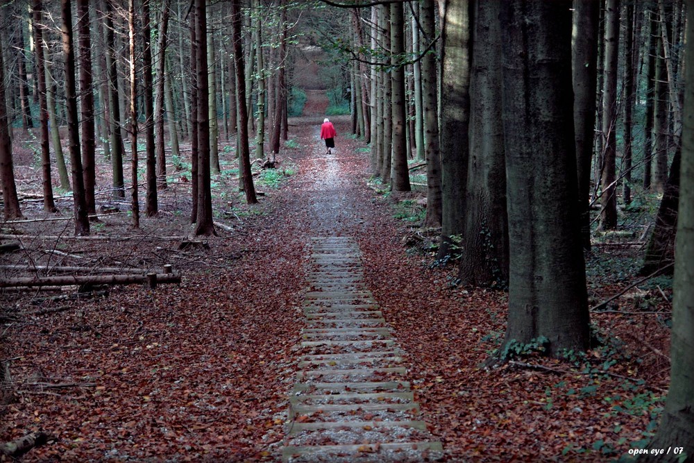 Geht Ein Hexenschuss Von Alleine Weg www.fotocommunity.de