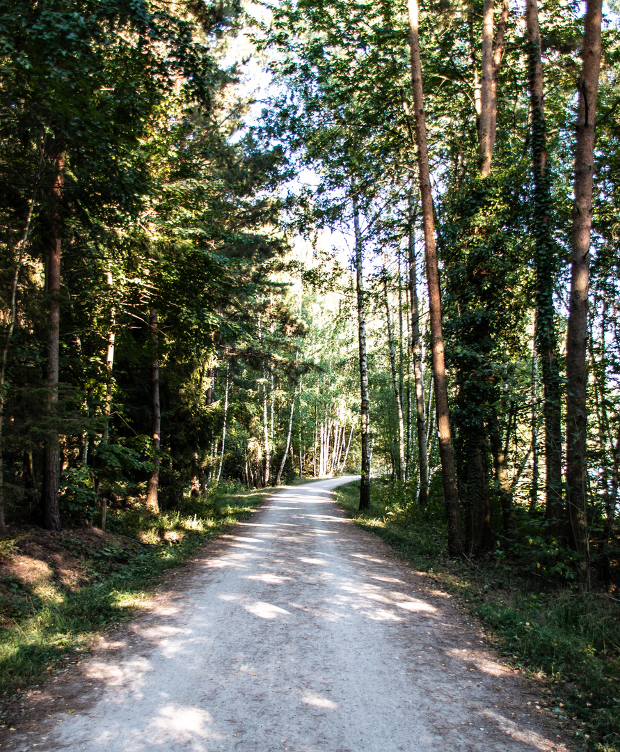 Den Weg aus den Augen verlieren