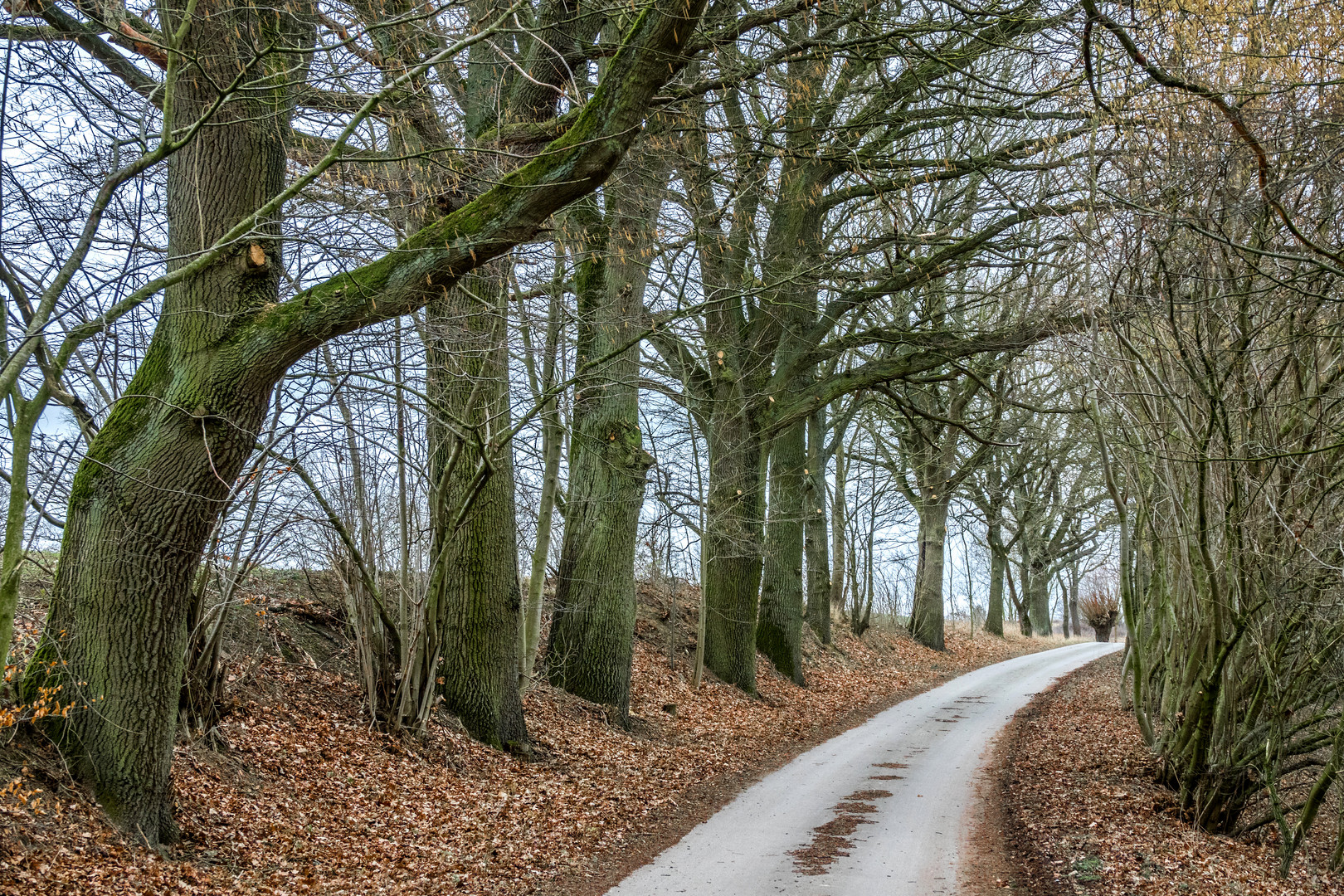 Den Weg entlang