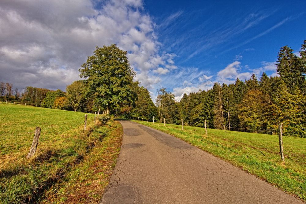 Den Weg hinauf