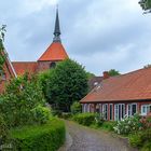 Den Wetterfröschen können wir ja nicht wirklich trauen … 