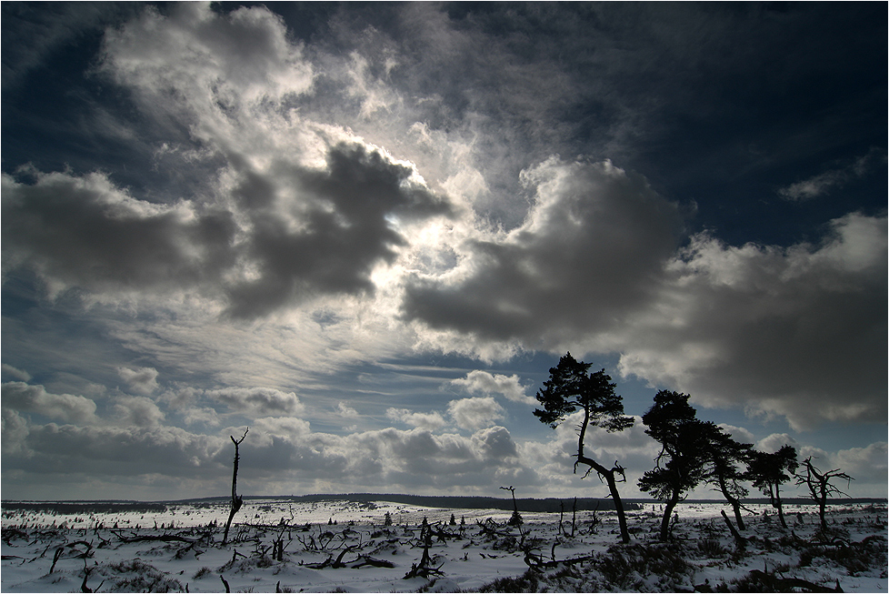 Den Wind essen . . .