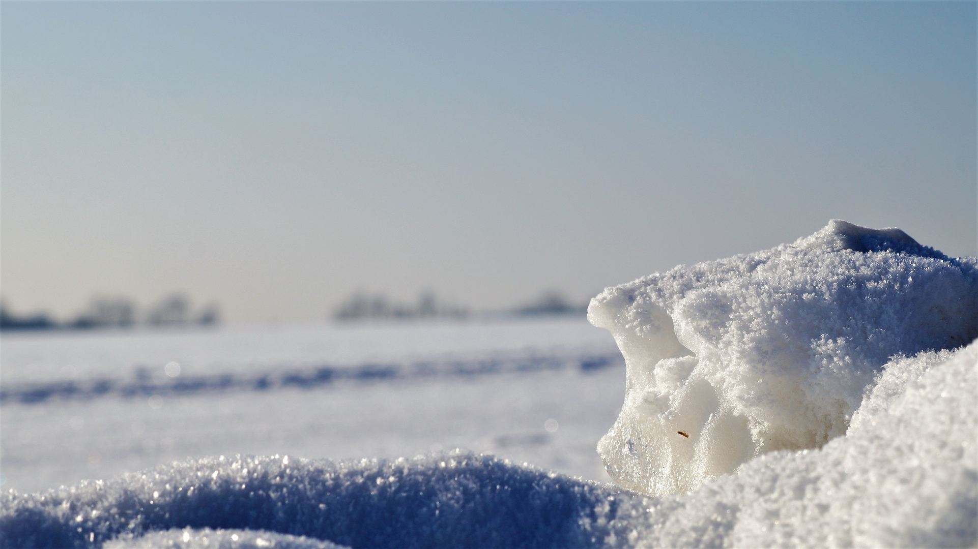 Den Winter betrachten, den Schnee erleben ...