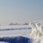 Den Winter betrachten, den Schnee erleben ...