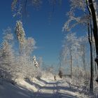 Den Winter genießen