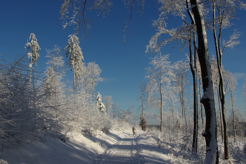 Den Winter genießen