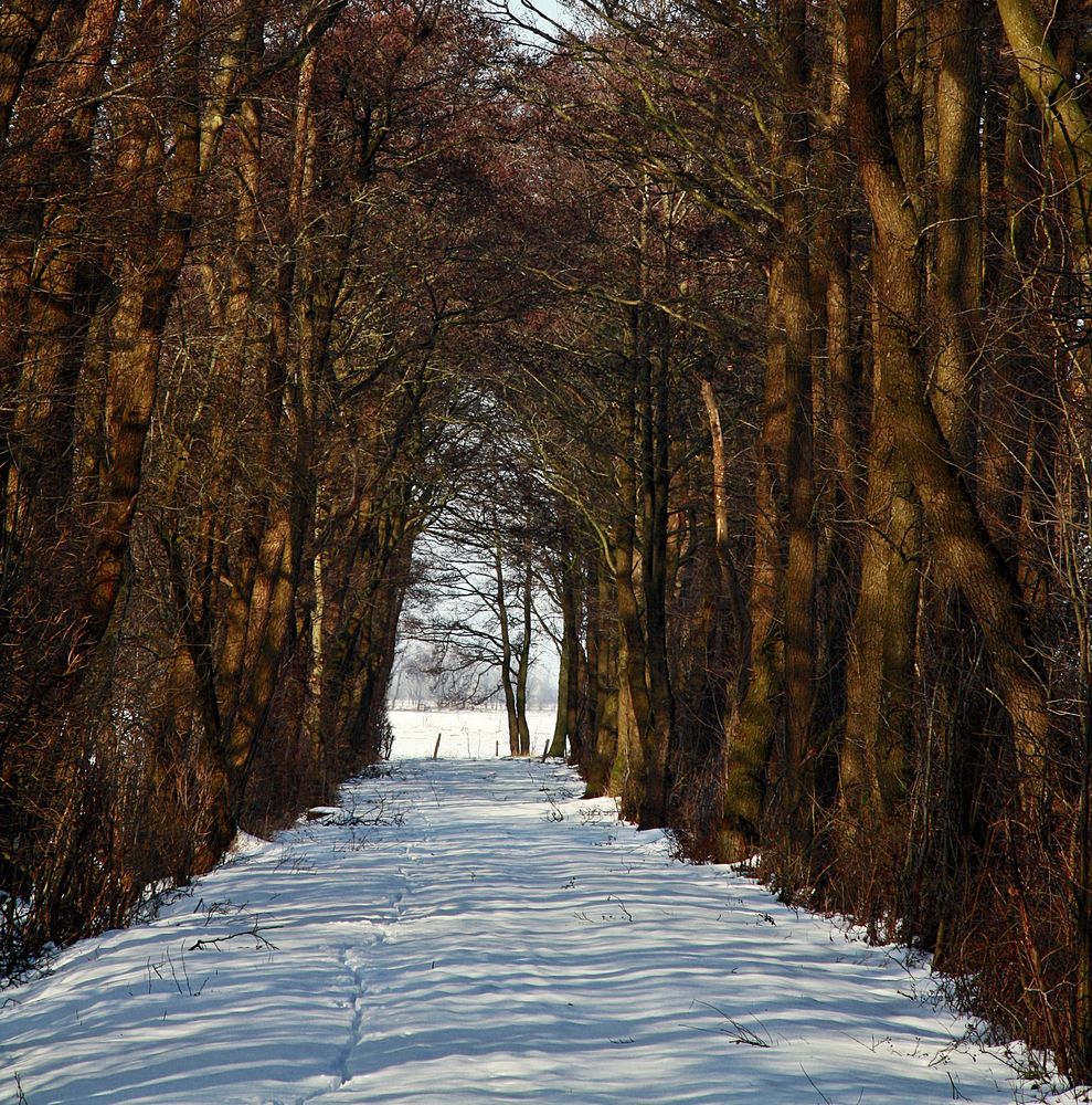 Den Winter genießen