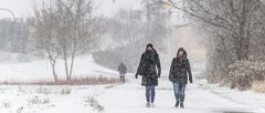 DEN WINTER GENIESSEN SCHRITT FÜR SCHRITT