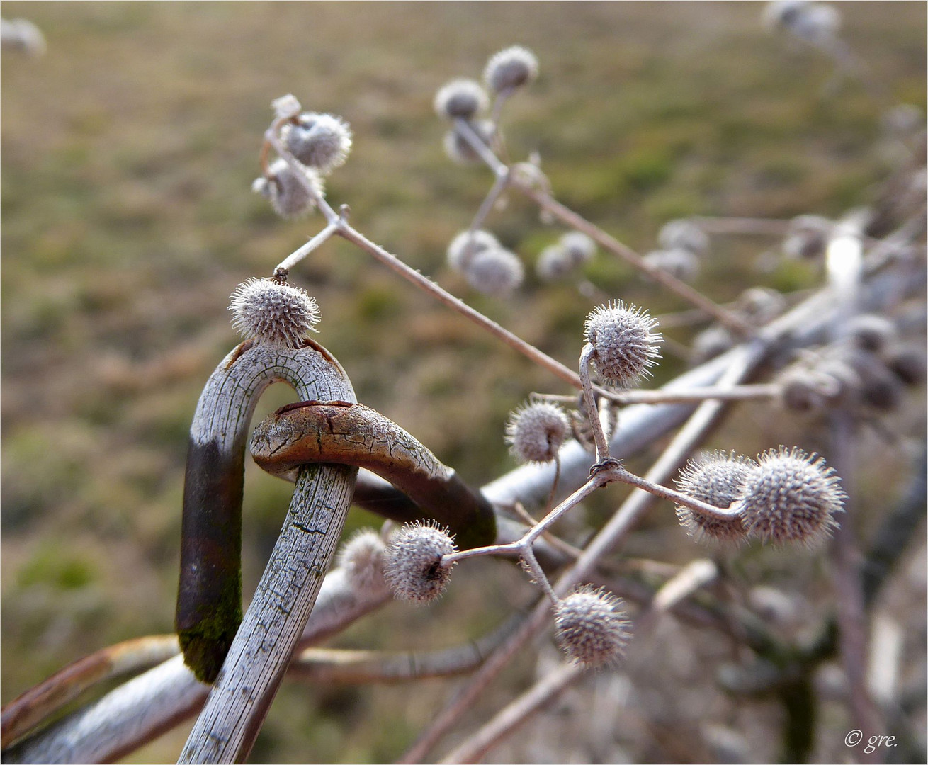 Den Winter überstanden