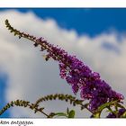 Den Wolken entgegen