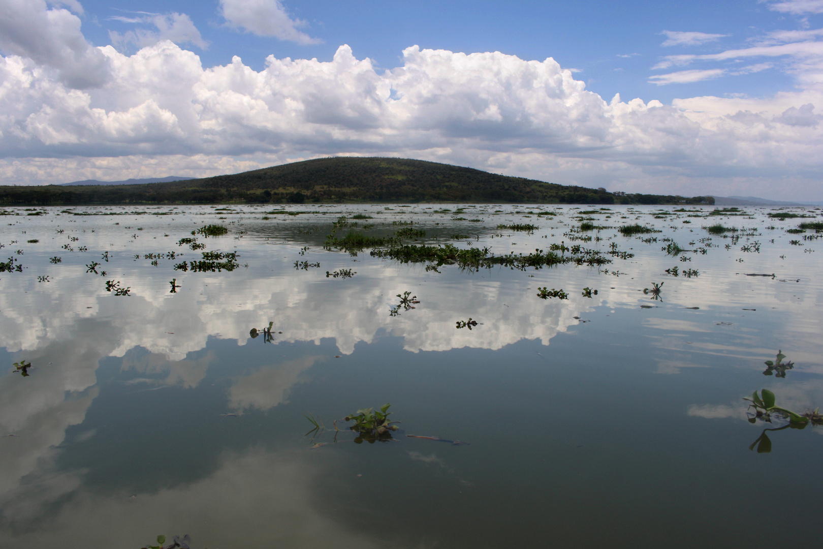 Den Wolken ganz nah (unterwegs auf dem Naivasha-See, Kenia)