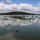 Den Wolken ganz nah (unterwegs auf dem Naivasha-See, Kenia)