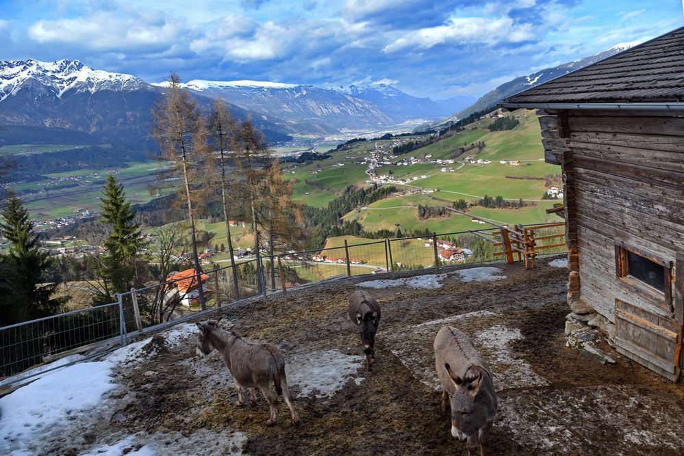 Den Wolken so nah in Tirol