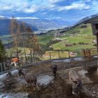 Den Wolken so nah in Tirol