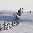 den Zaun entlang