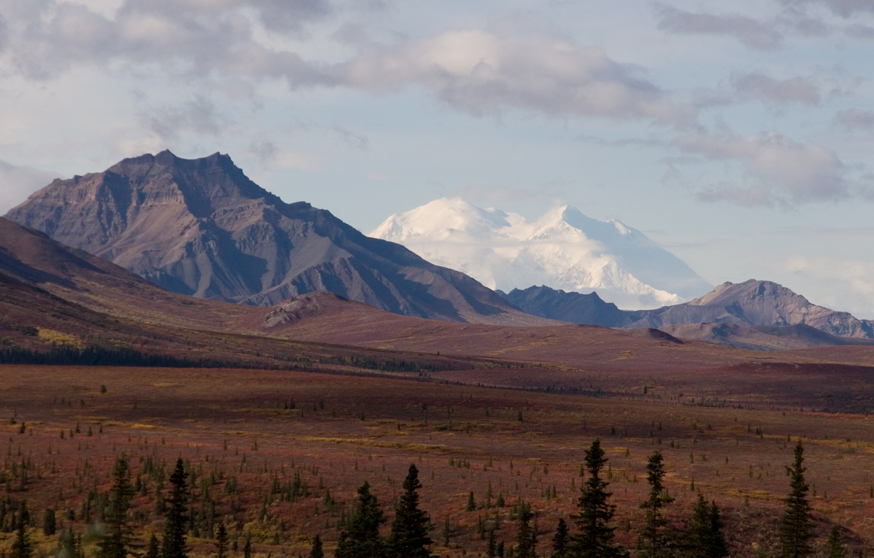 Denali