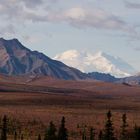 Denali