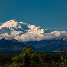 Denali