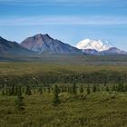 Denali