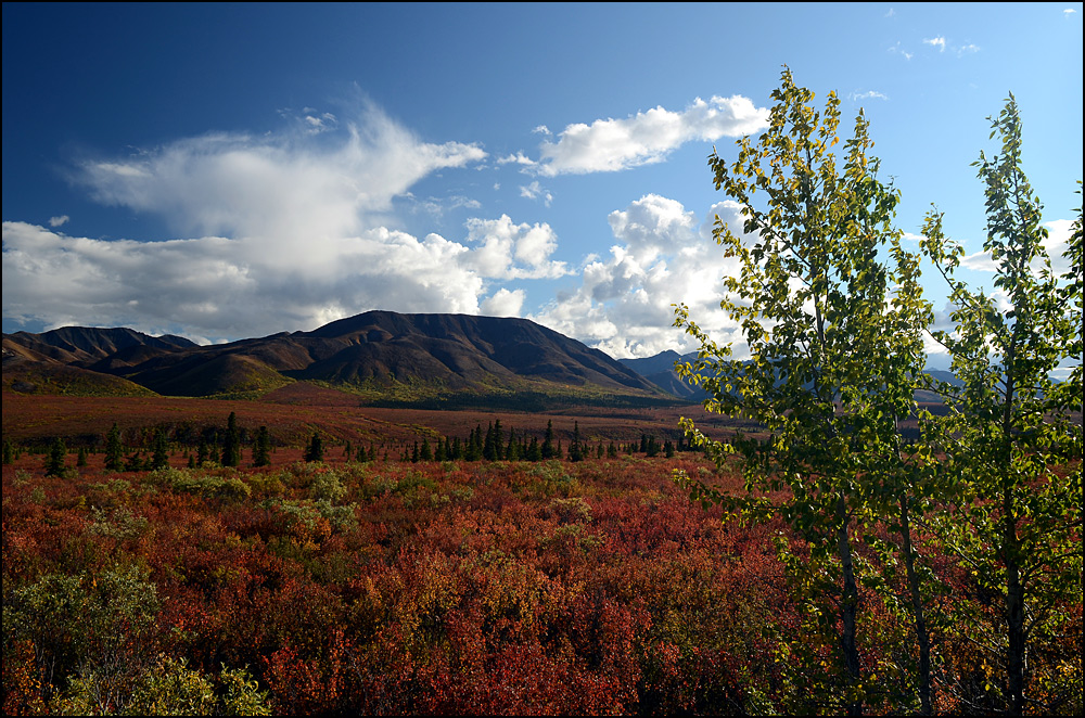 Denali...