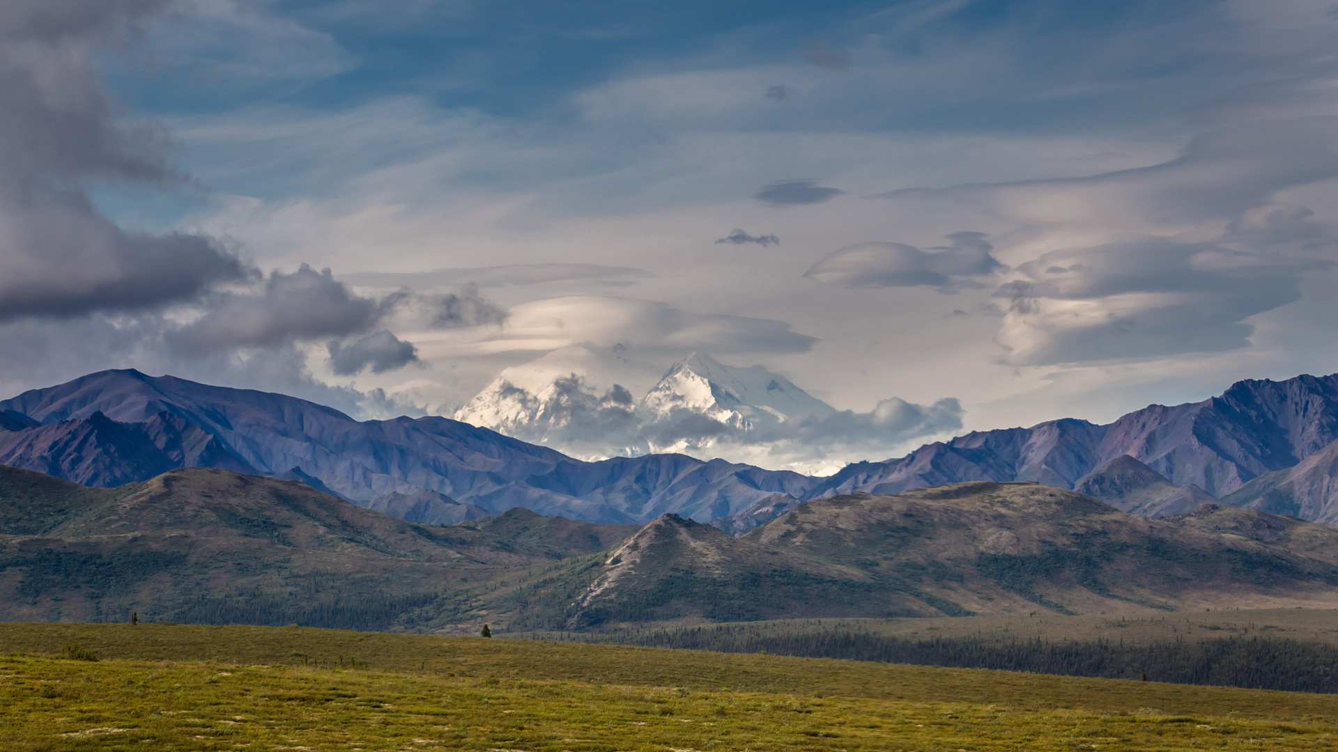 Denali Foto & Bild north america, united states, landschaft Bilder