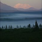 Denali | Denali National Park