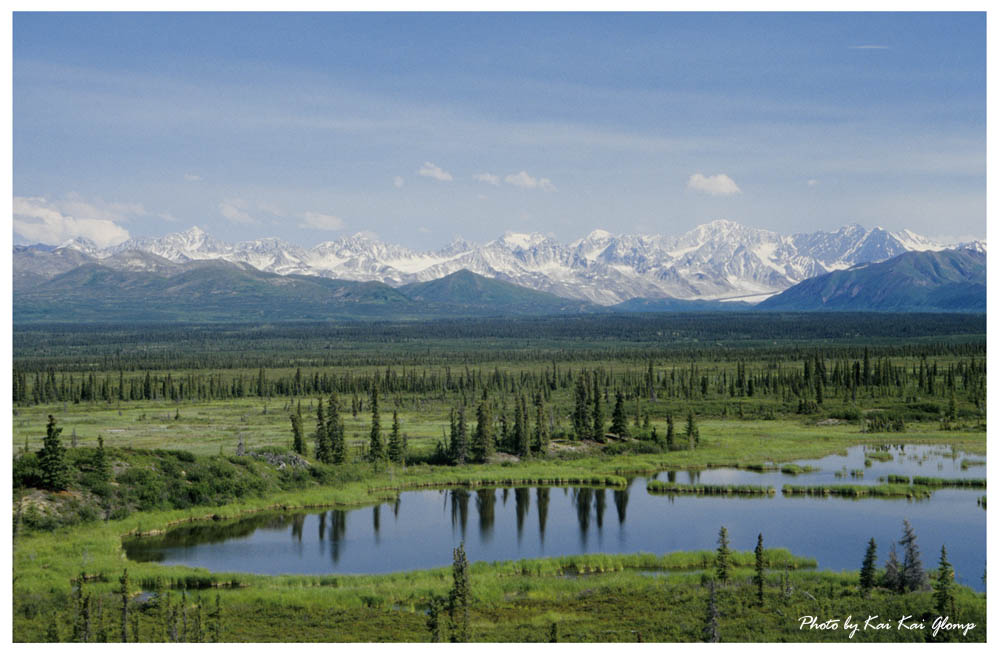 Denali Highway