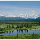 Denali Highway