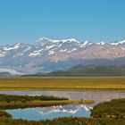 Denali Highway