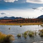 Denali Highway