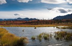 Denali Highway