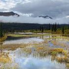 Denali Highway