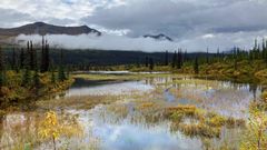 Denali Highway