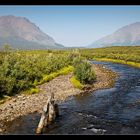 Denali Highway