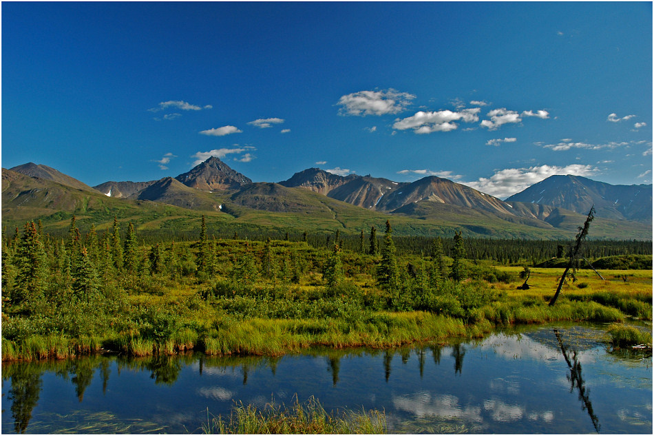 Denali Highway