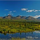 Denali Highway