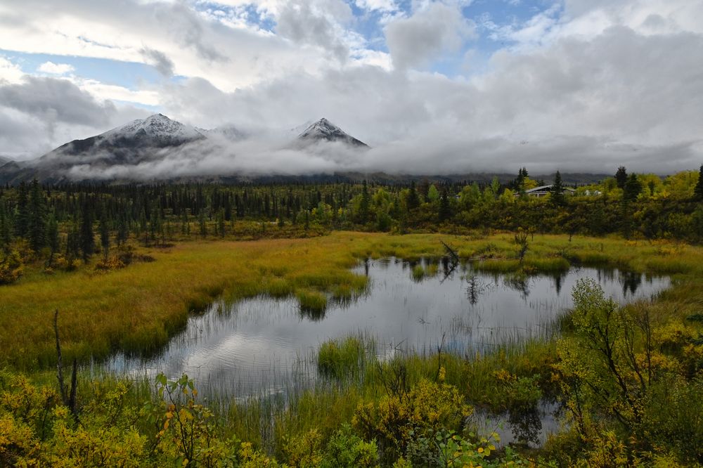 Denali HWY 2