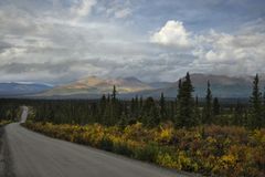 Denali Hwy