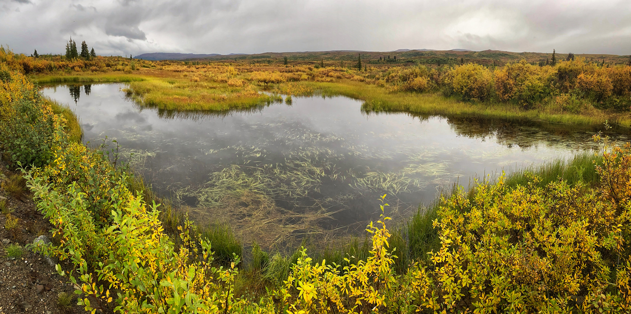 Denali Hwy