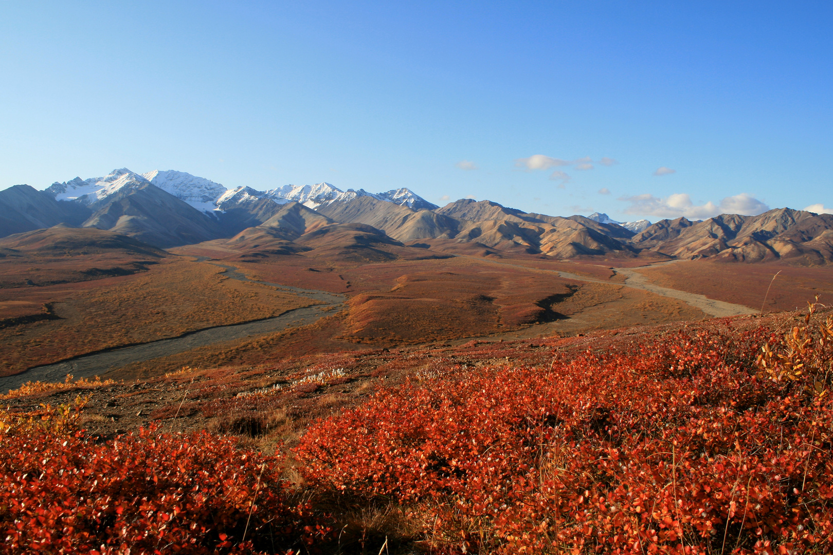 Denali im Herbst