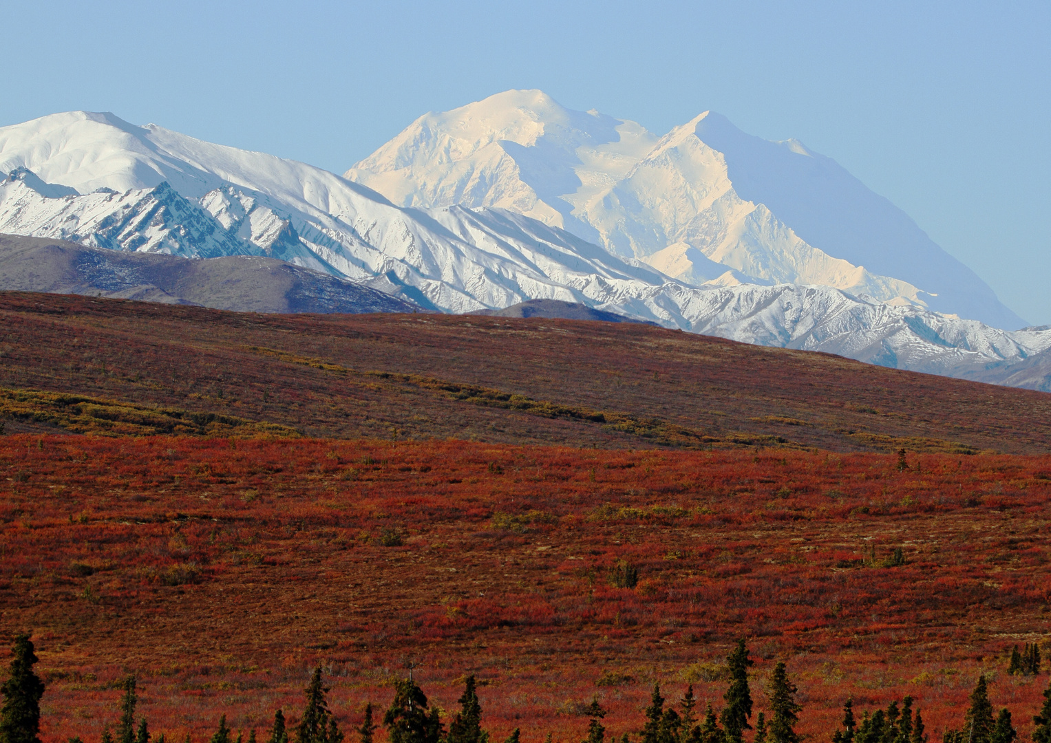 Denali mit Indian Summer