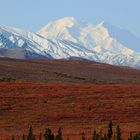 Denali mit Indian Summer