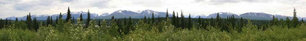 Denali National Park