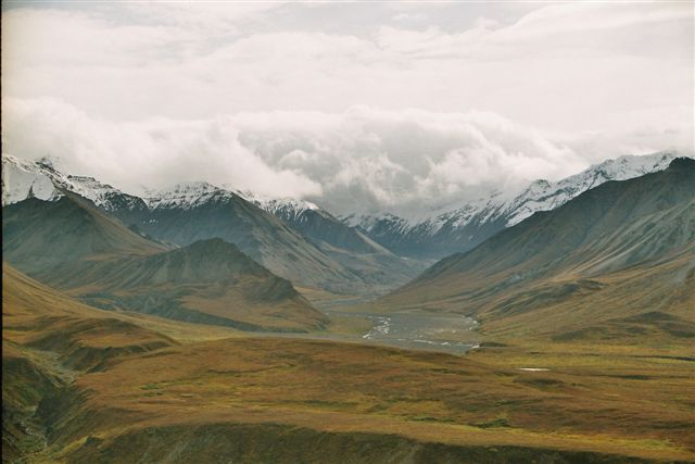 Denali National Park 2001