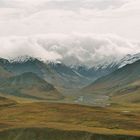 Denali National Park 2001