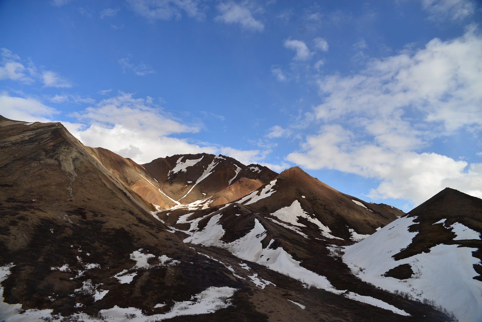 Denali National Park